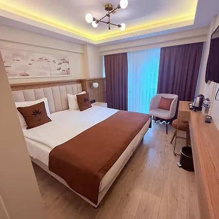 Hotel New Florenta
