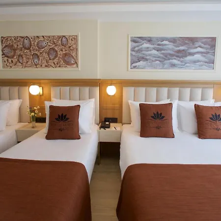 New Florenta Hotel 4*